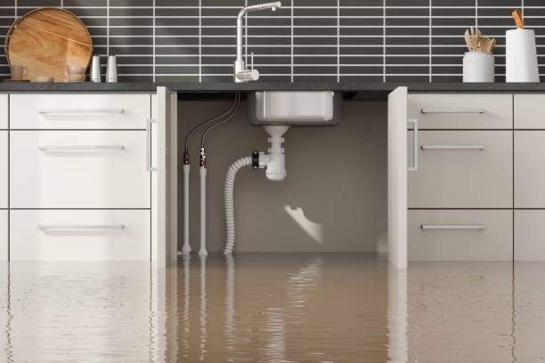 Best Wood Floor Water Damage Restoration in Atkinson, NE